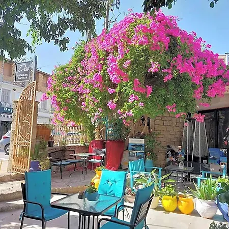 Amina 3* Città di Zante